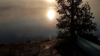 A serene view of Dal Lake at sunrise with shikaras gently floating on the water.