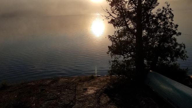 A serene lake view during sunset or sunrise, with calm water reflecting the sun's light. A tree stands in the foreground, casting its shadow on the ground. A canoe or boat is partially visible near the shore.