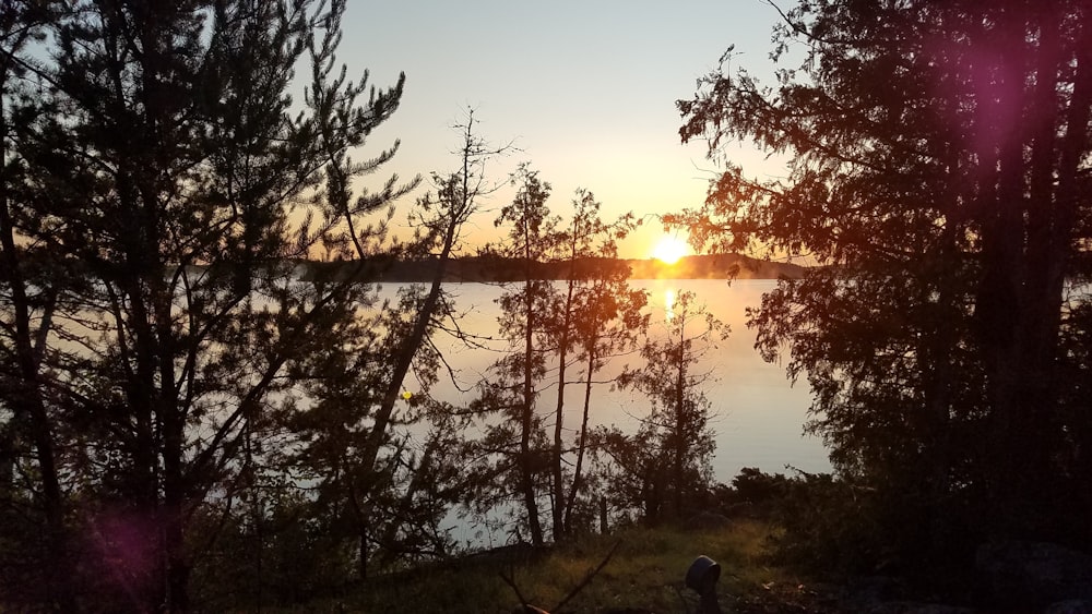 o sol está se pondo sobre um corpo de água