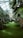 A lush greenhouse filled with dense, vibrant palm trees and a soft, green carpet of grass. The canopy overhead is made of glass, allowing sunlight to filter through and illuminate the tranquil space. The environment has a serene and tropical atmosphere.