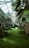 A lush greenhouse filled with dense, vibrant palm trees and a soft, green carpet of grass. The canopy overhead is made of glass, allowing sunlight to filter through and illuminate the tranquil space. The environment has a serene and tropical atmosphere.