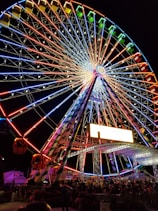 a large ferris wheel lit up at night