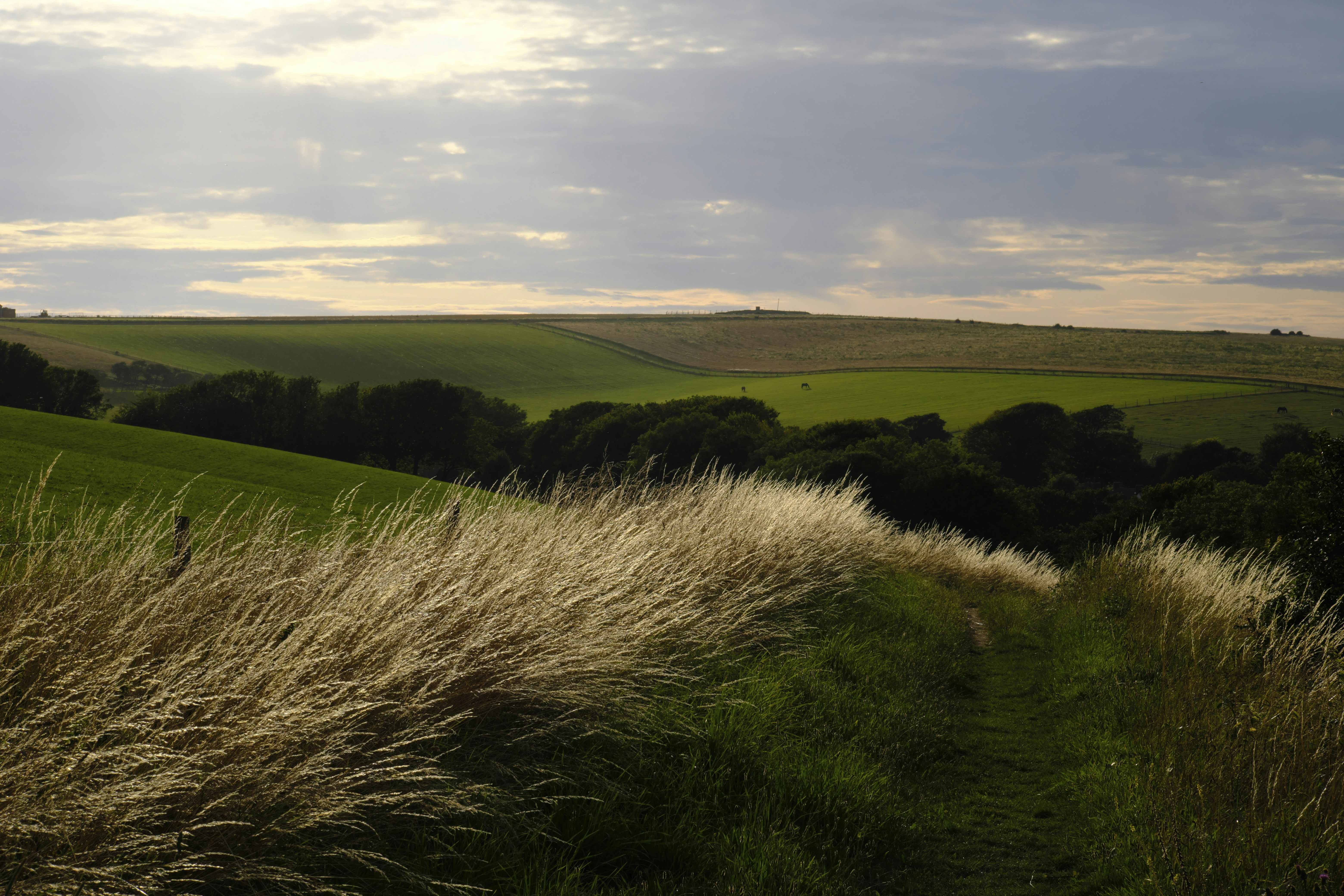 Photo by bullfishfighter