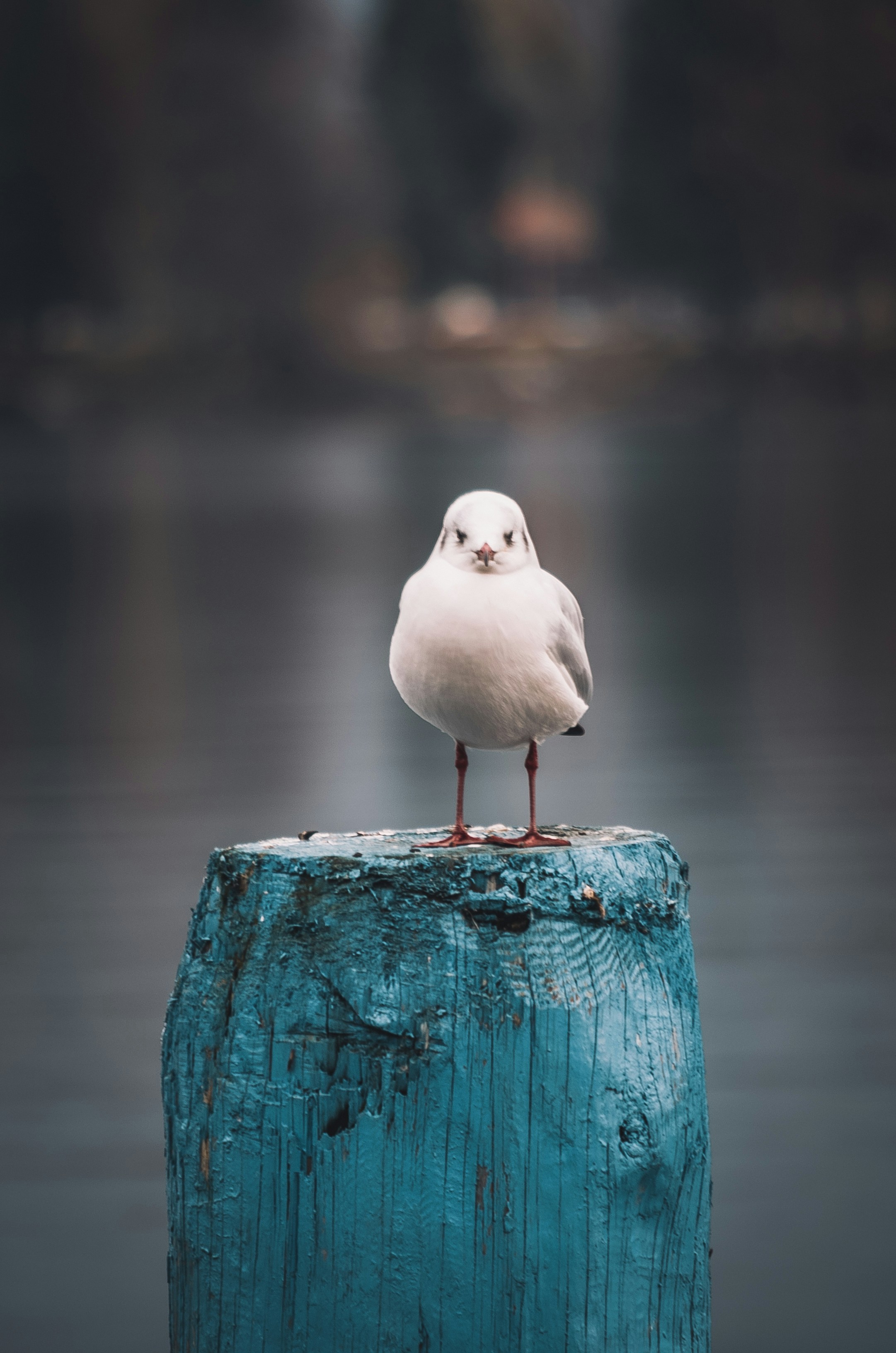 It's what isn't said that means the most. It’s what isn't said that often means the most.Photo by lyuza Mingazova / Unsplash