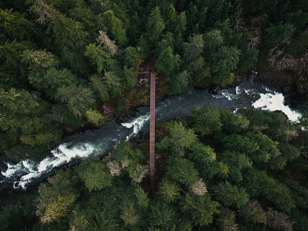 aerial photo of bridge over river