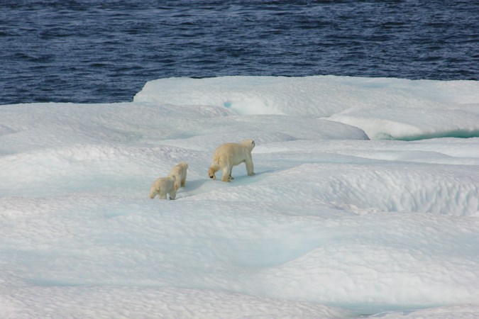 Exploring the Wonders of Polar Travel