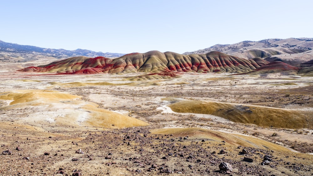 desert during daytime