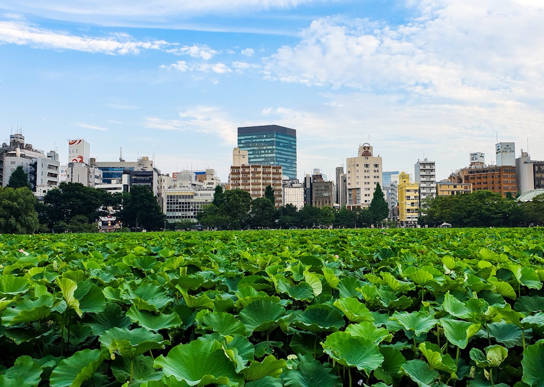 Photo by Marcellin Bric