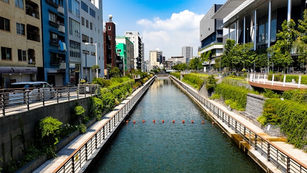 Sumida River Cycling Path