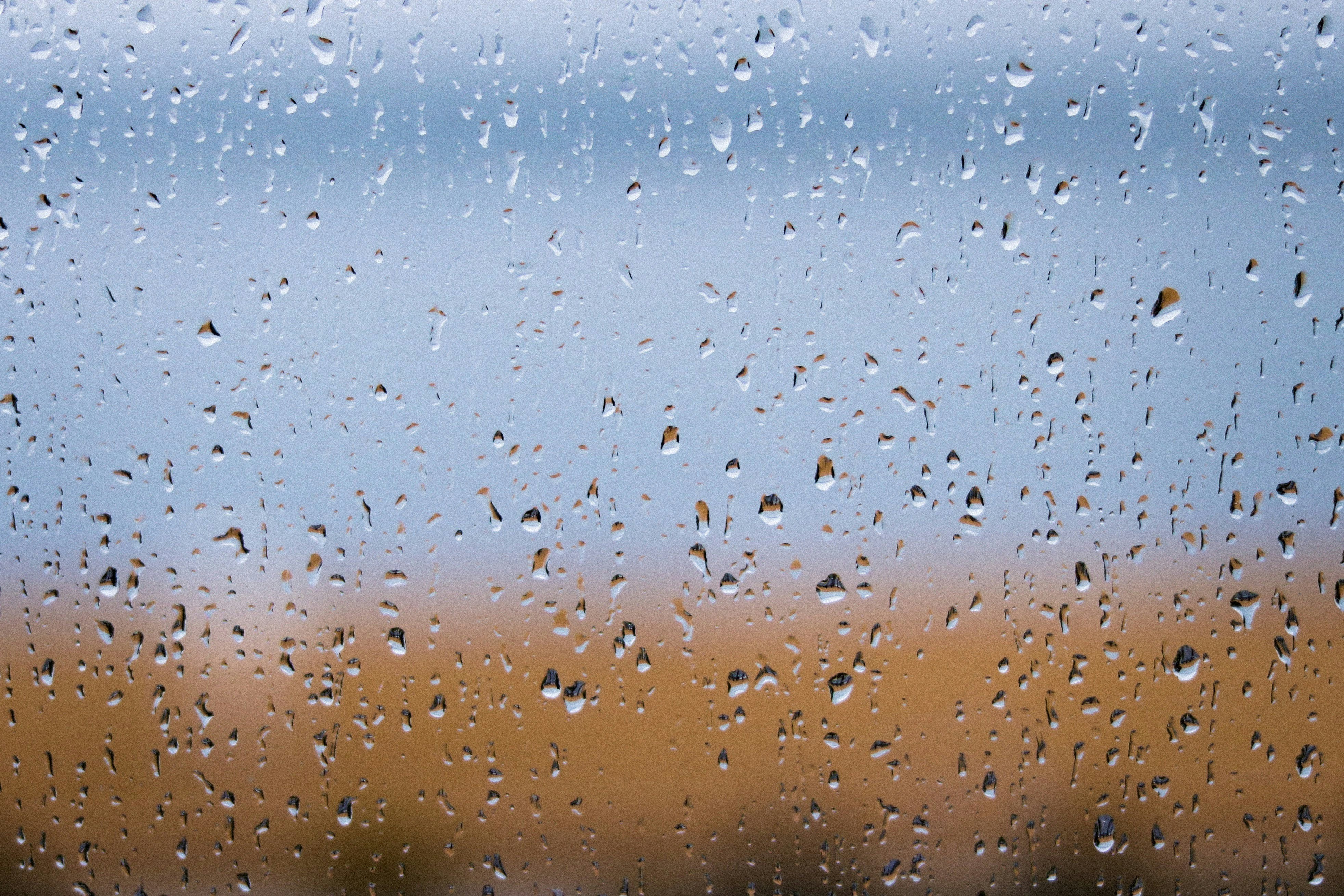 Photo by quangtran1212