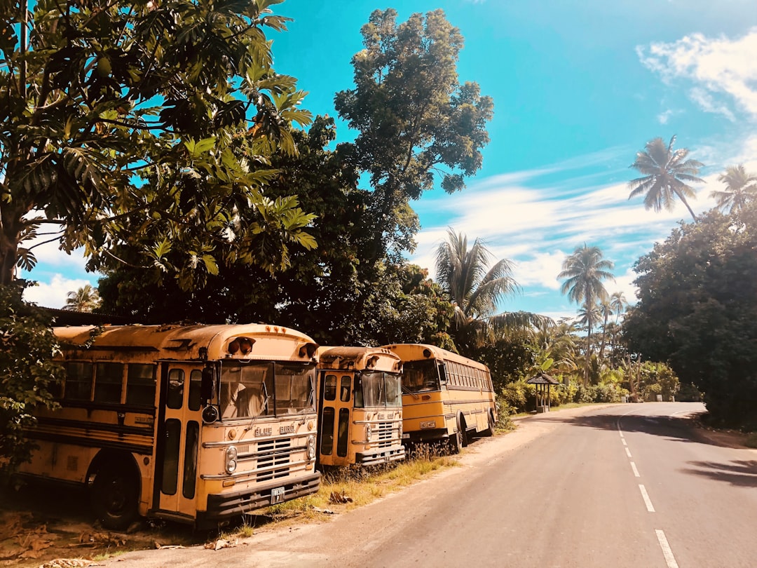 yellow bus,