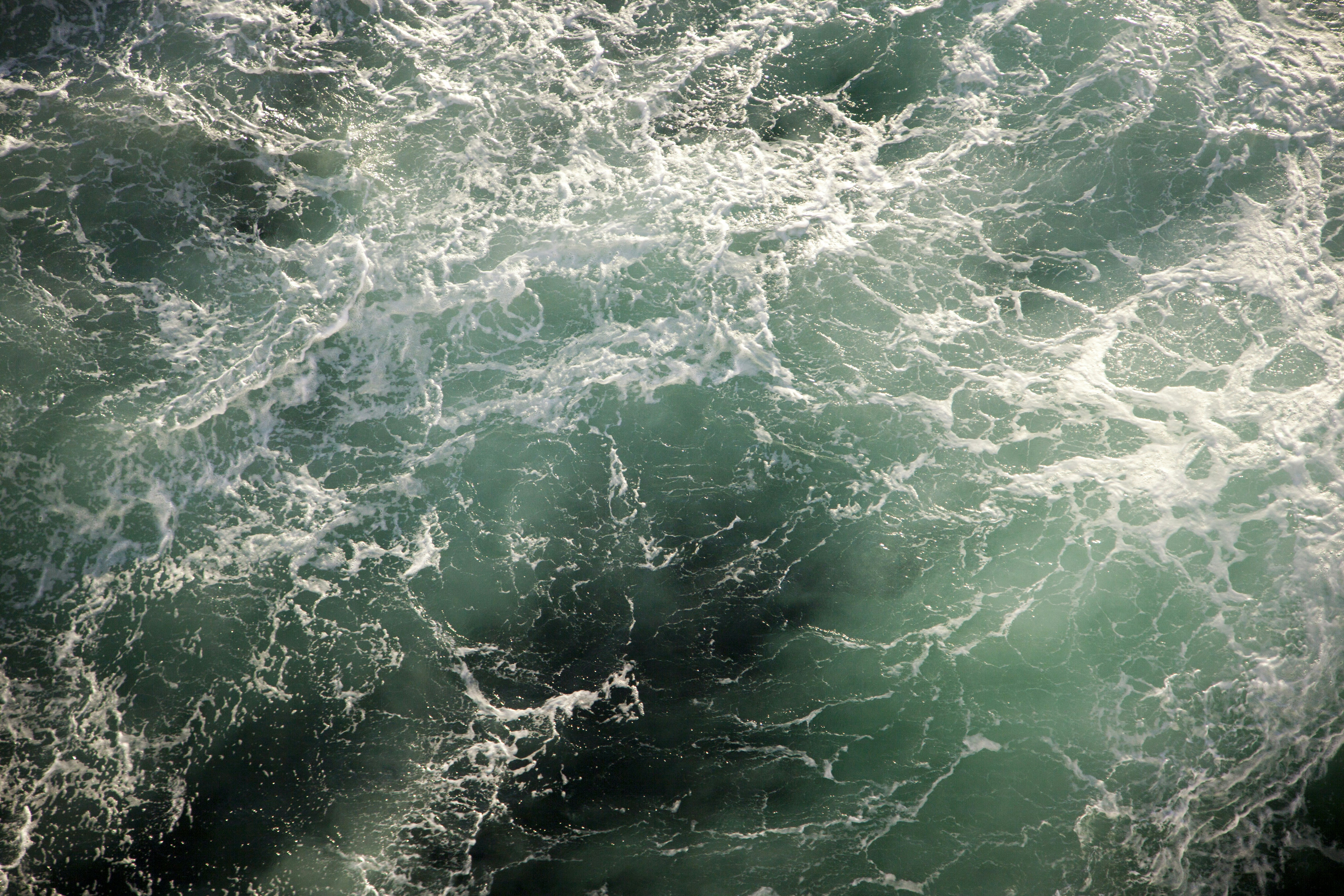 Photo by shaunmcreatives