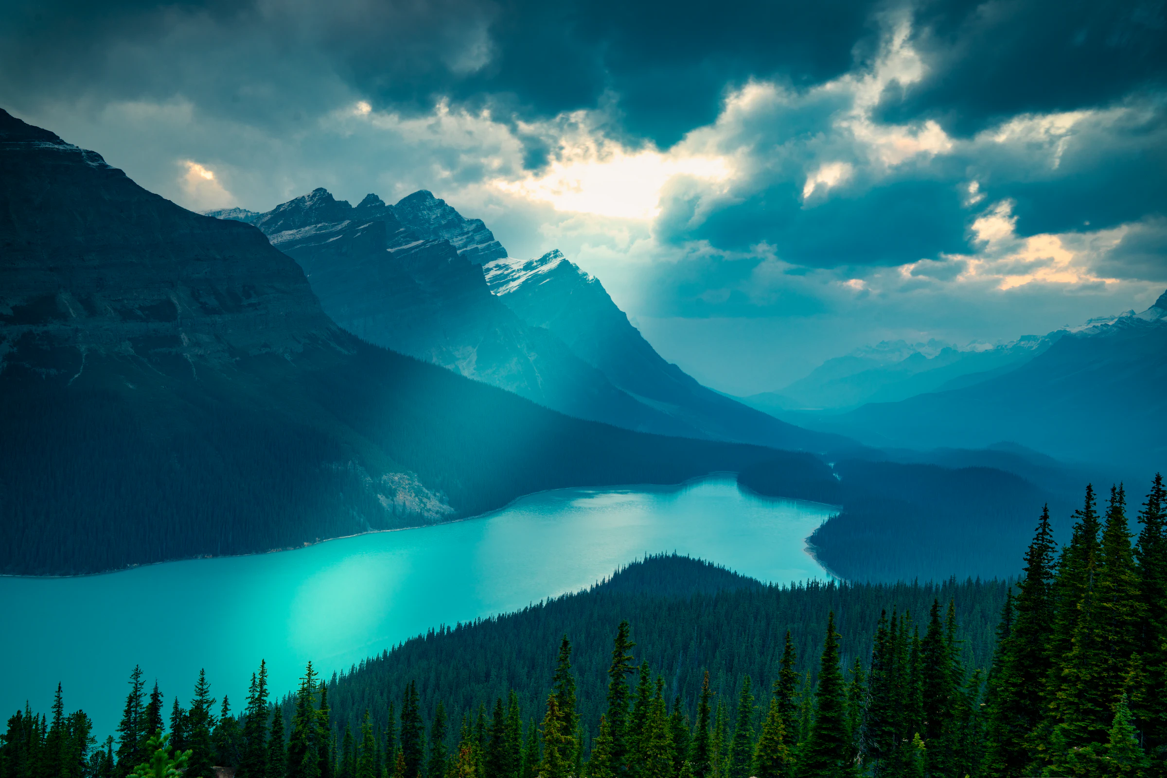 A calm lake bordered by pine trees and Canadian mountains