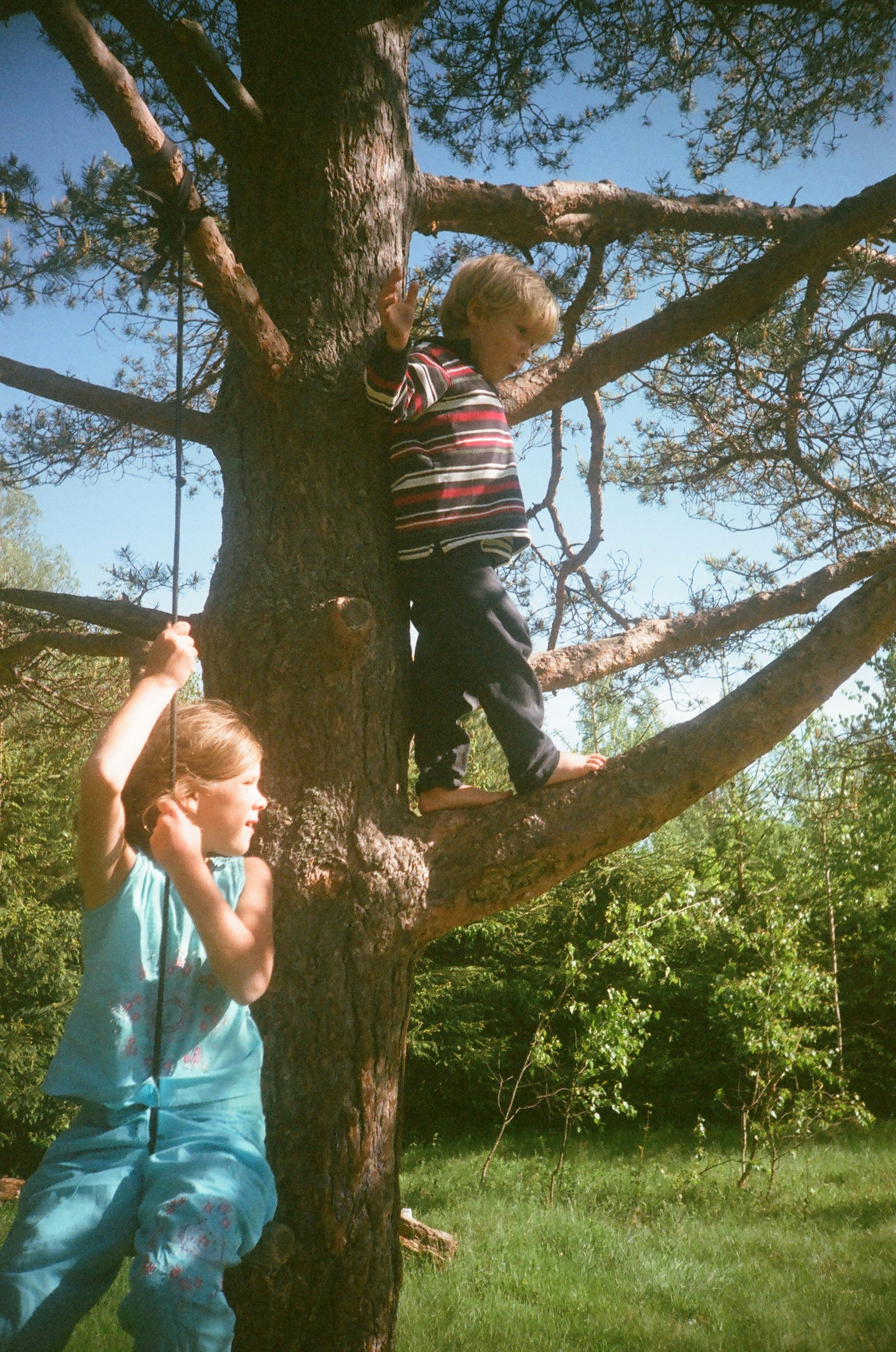 Cadet Definition De Cadet Cadette La Langue Francaise