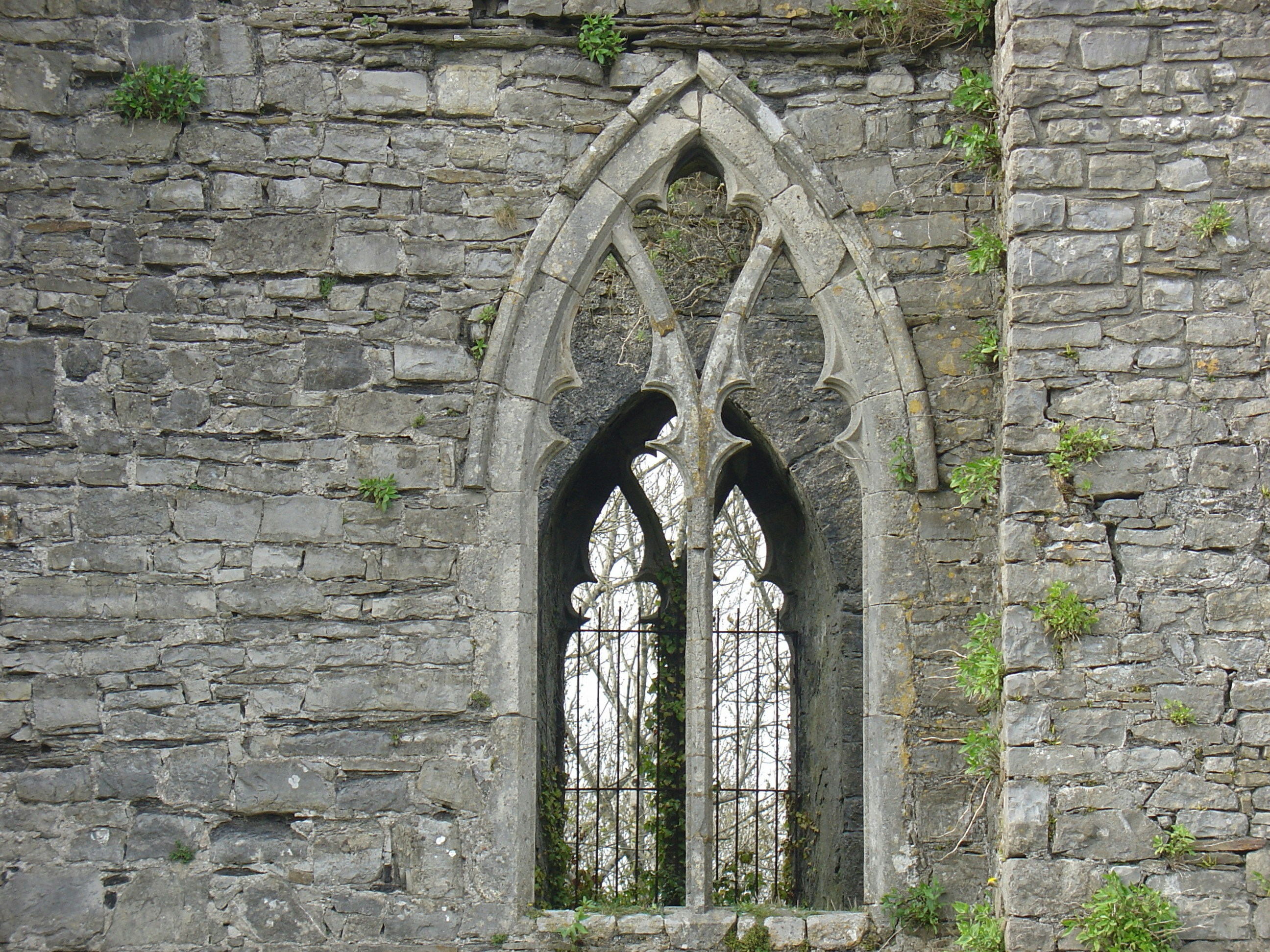 Photo by barbmcmahon