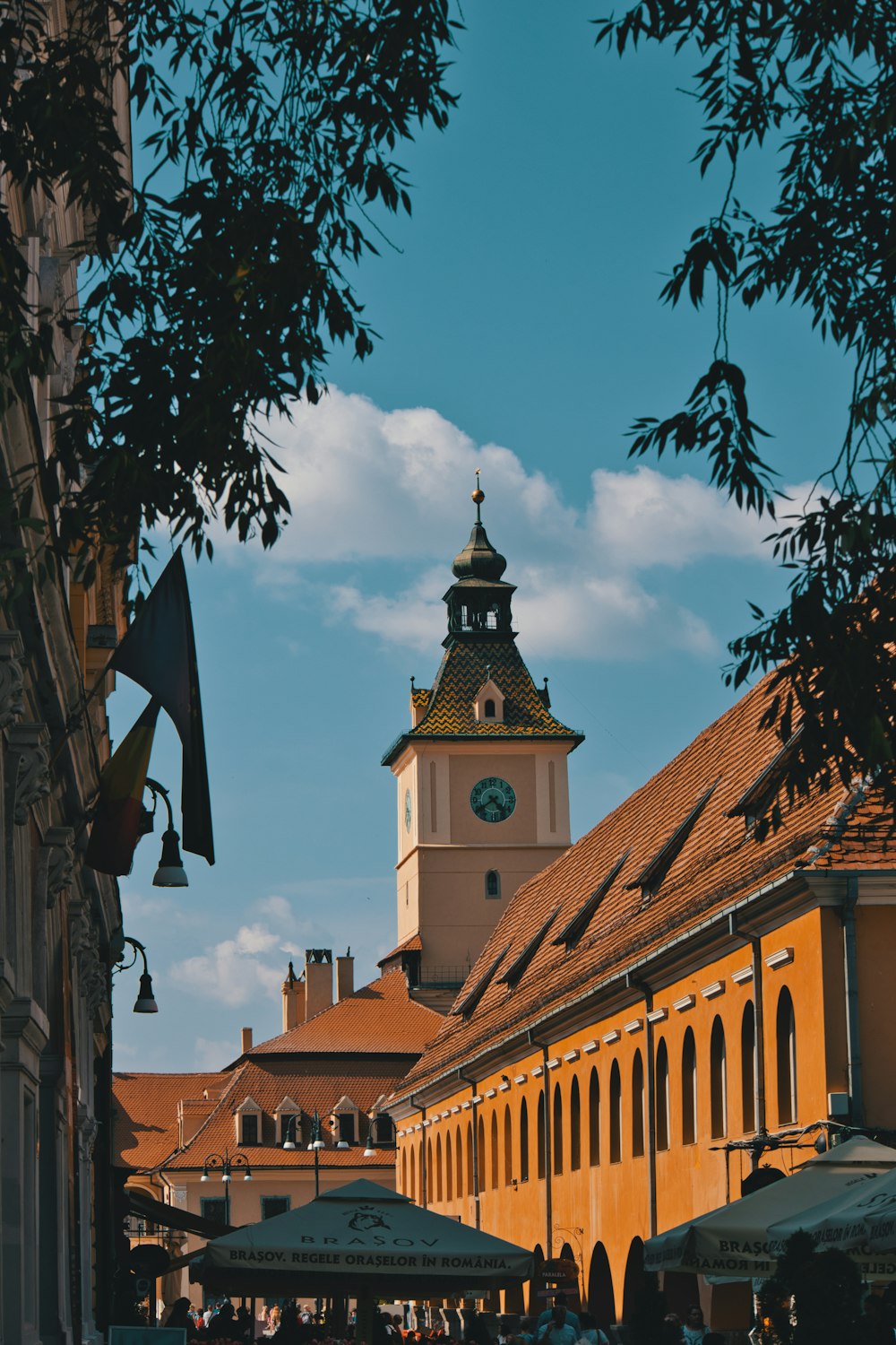 brown building under blue sky during daytime