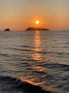 Sunset view over the ocean with whales in the distance.