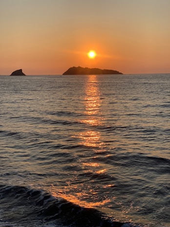 Sunset view over the ocean with whales in the distance.