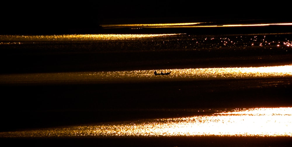 a couple of ducks floating on top of a body of water