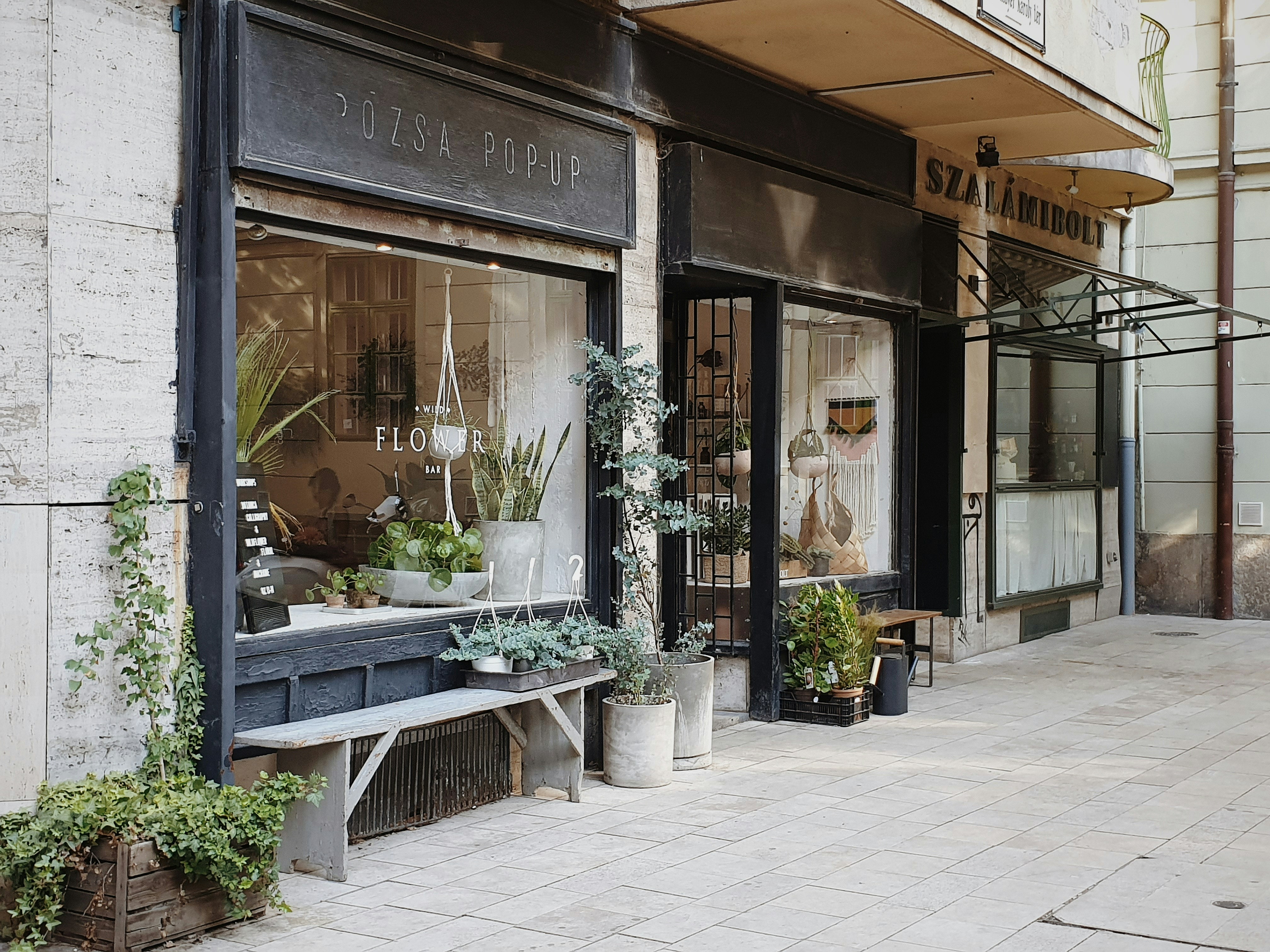 Photo by illiakholin