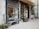 A quaint flower shop with a rustic exterior features a variety of green plants in both pots and hanging baskets. The shop front is adorned with large windows displaying an assortment of floral arrangements and a wooden bench with more plant pots. The signage above the window displays a minimalistic design, and ivy climbs along the wall, adding to the cozy, inviting atmosphere of the street corner setting.