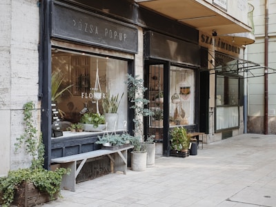 A quaint flower shop with a rustic exterior features a variety of green plants in both pots and hanging baskets. The shop front is adorned with large windows displaying an assortment of floral arrangements and a wooden bench with more plant pots. The signage above the window displays a minimalistic design, and ivy climbs along the wall, adding to the cozy, inviting atmosphere of the street corner setting.