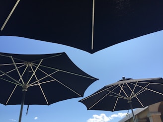 Several large black umbrellas with metallic spokes are opened under a clear blue sky. A few clouds are visible in the background, and a structure is partially seen in the lower right corner.