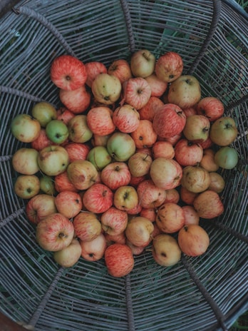 Baskets filled with handpicked apples ready for delivery.