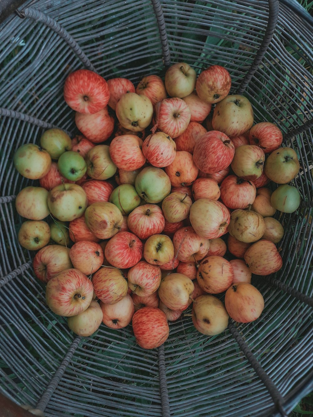 apple lot in basket