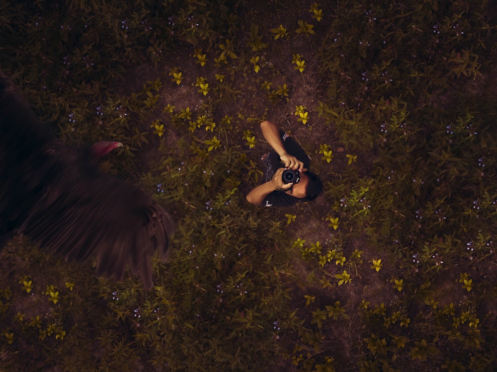 oiseau brun volant au-dessus de l’homme capturant la photo