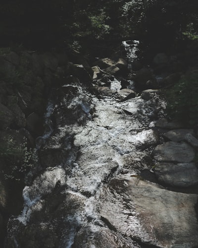 close-up photography of river during daytime