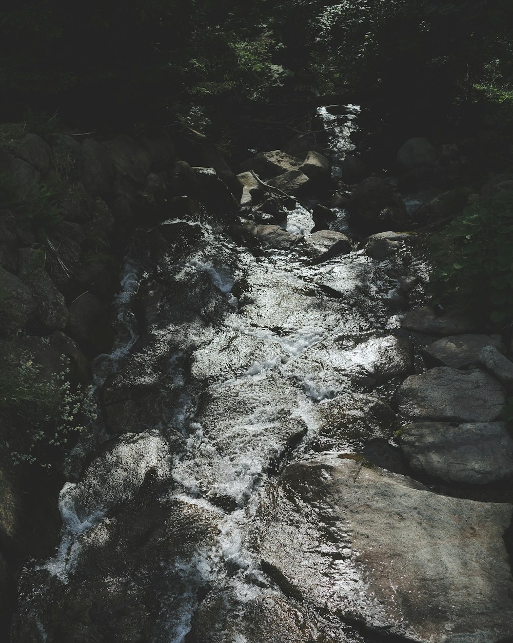 close-up photography of river during daytime