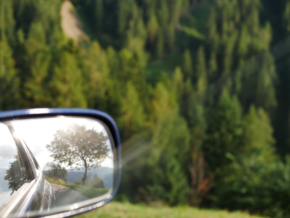 vehicle side mirror