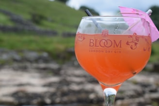 A large glass filled with a pinkish-orange cocktail, featuring the label 'Bloom London Dry Gin'. The glass has a decorative pink paper umbrella and two straws. The background is a blurred scenic view, possibly of grassy hills and stone walls.
