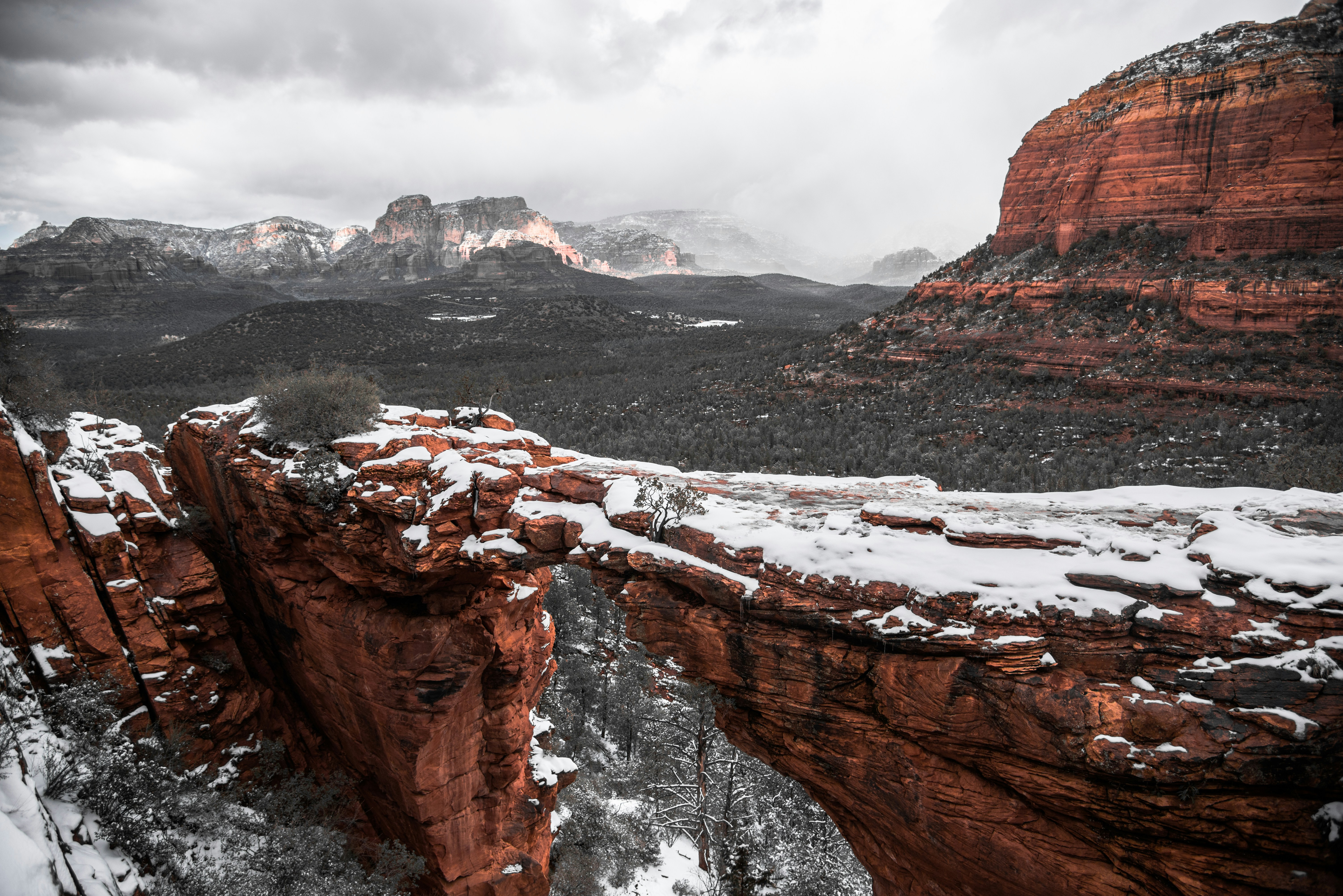 Photo by madewithtroy