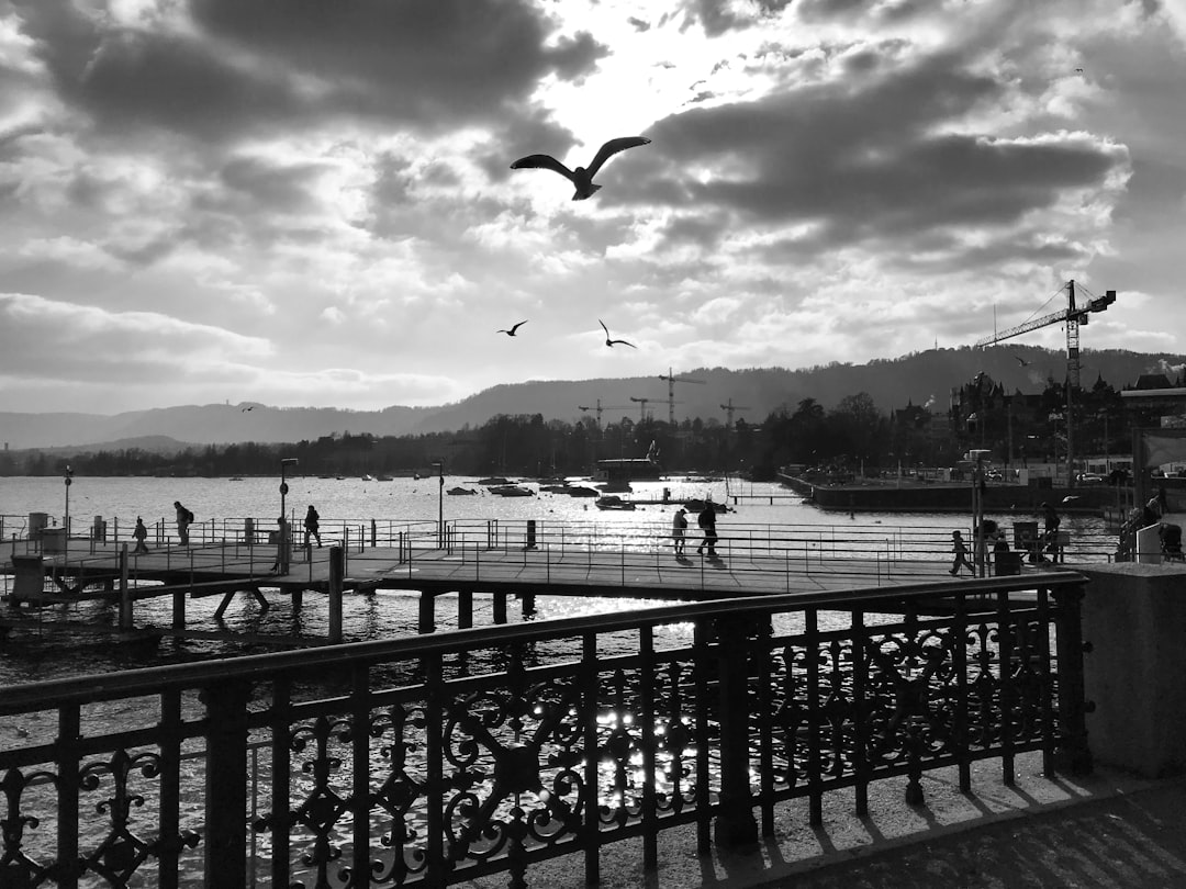 Pier photo spot Unnamed Road Richterswil