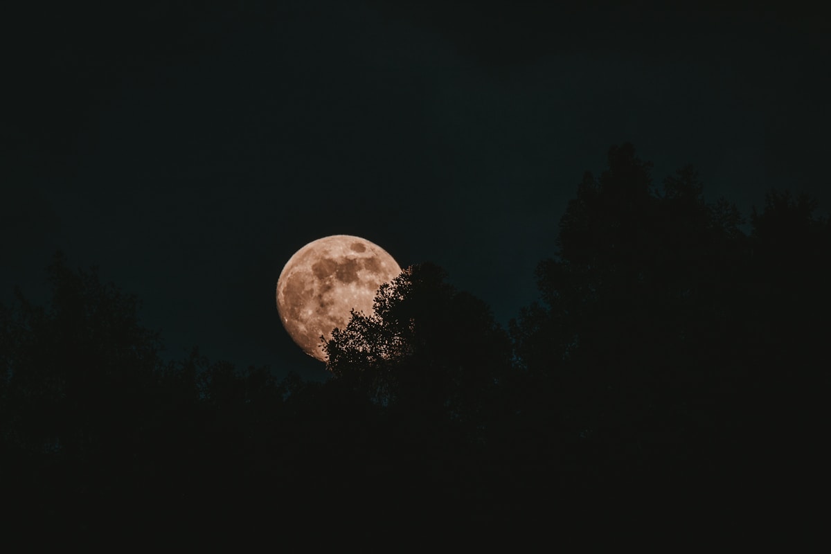 Tajomný svet Susan Cooperovej: Séria "The Dark Is Rising"