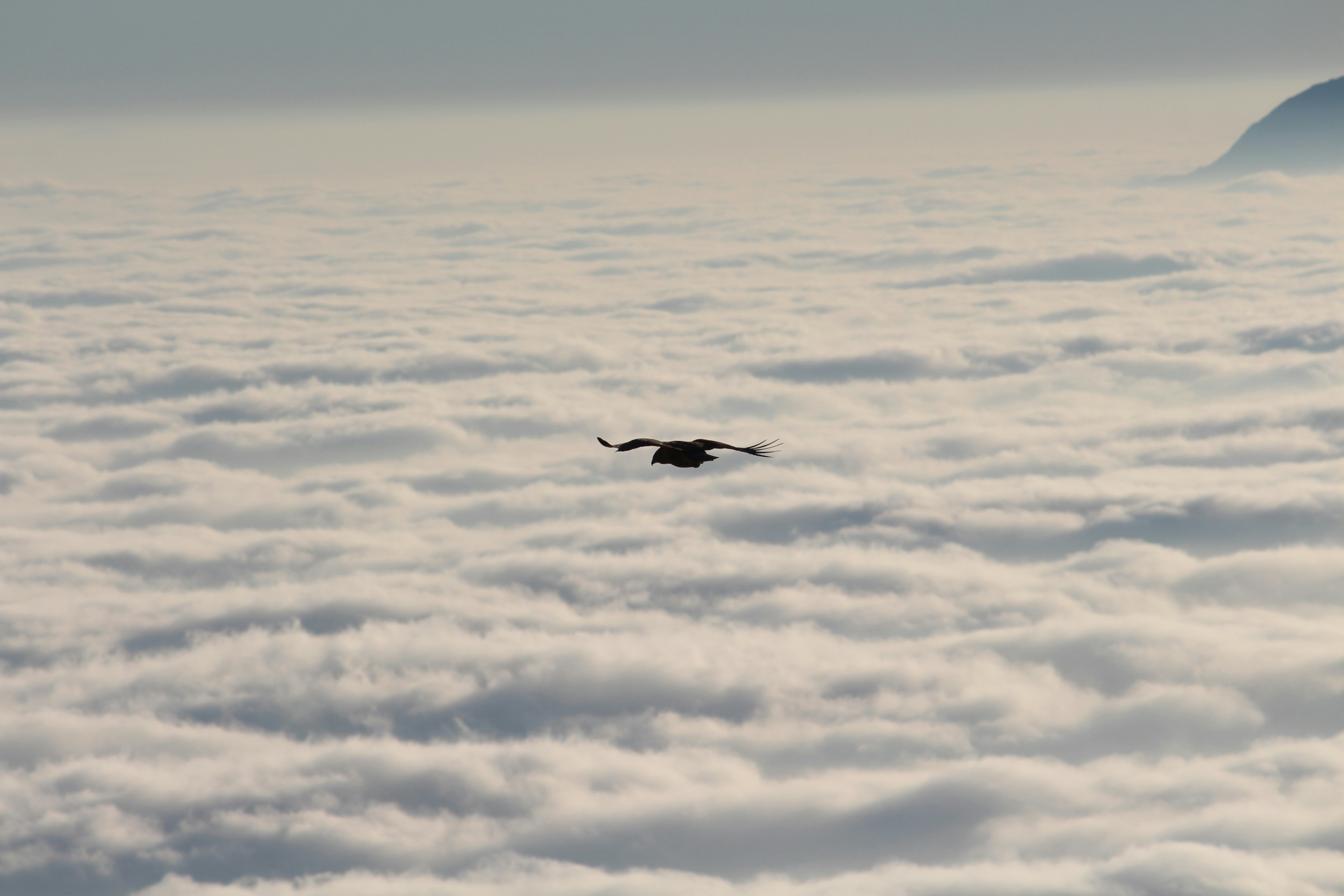 Top view of Nandi Hills