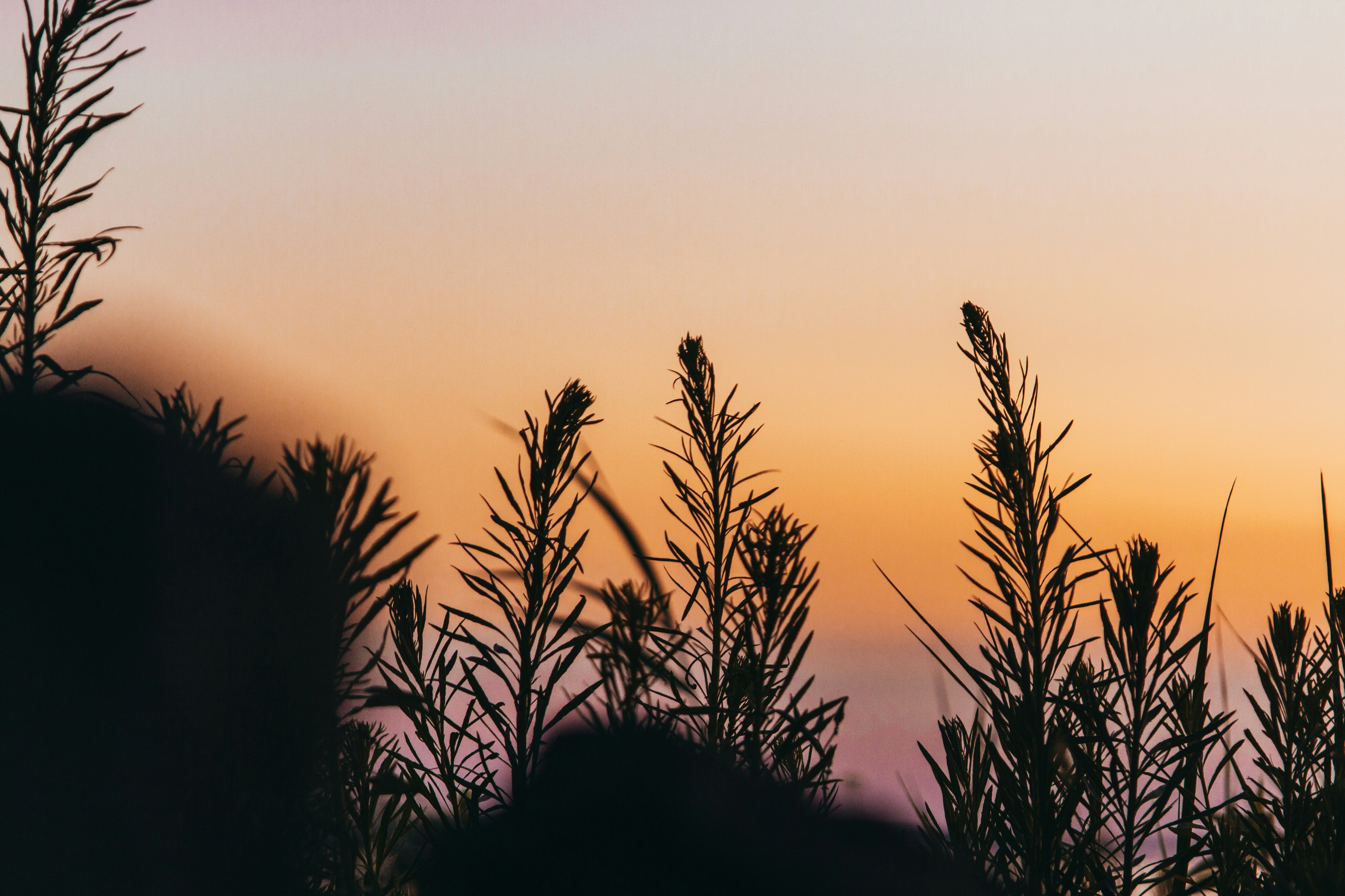 Photo by reischlkrisz