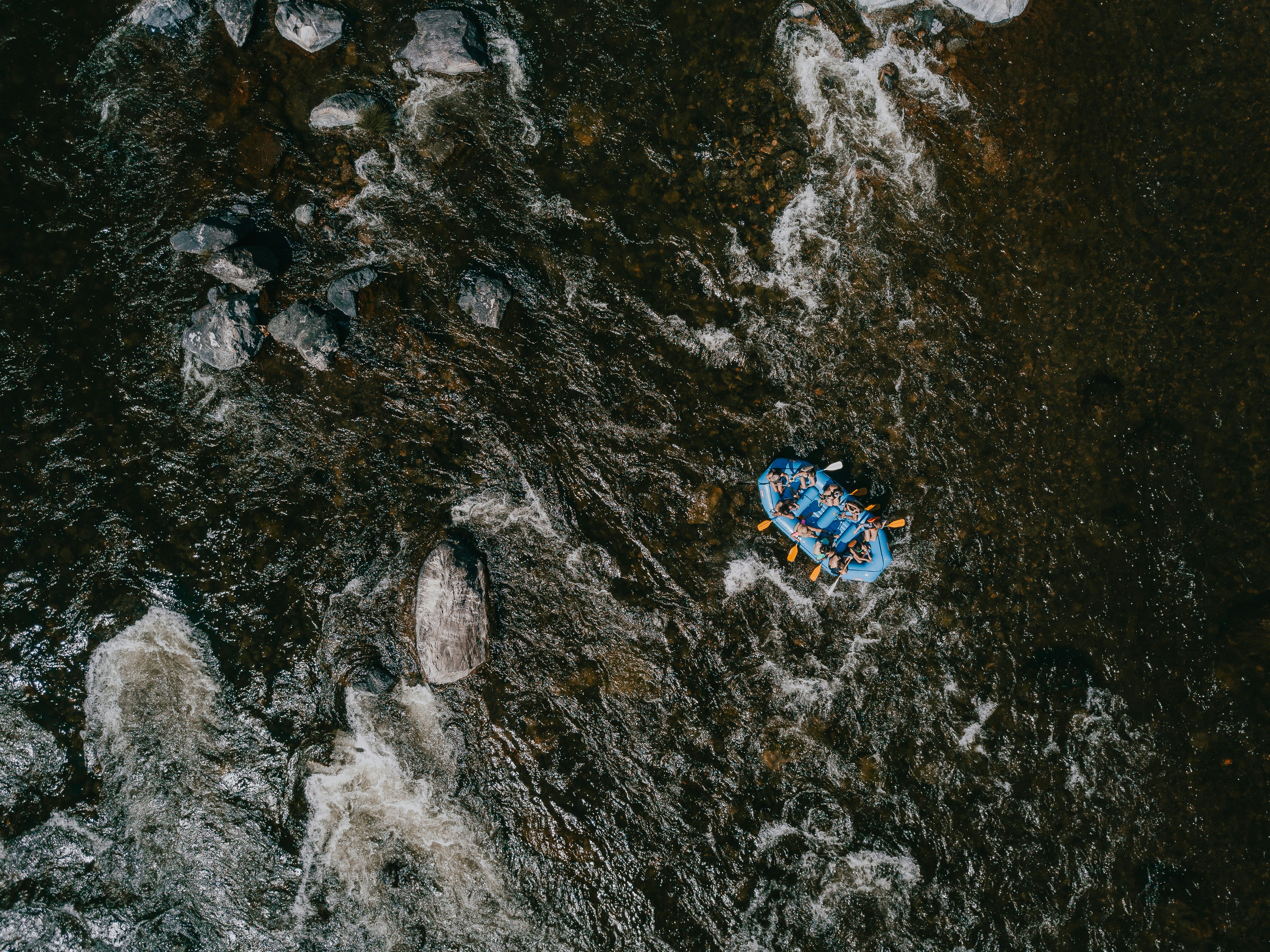 aerial photography group of person riding on blue paddle boat