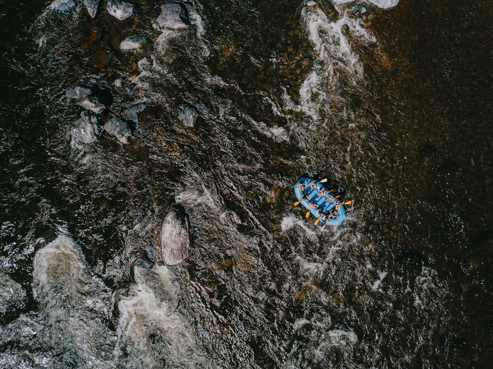 aerial photography group of person riding on blue paddle boat