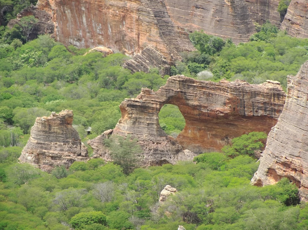 Montaña marrón y gris rodeada de árboles