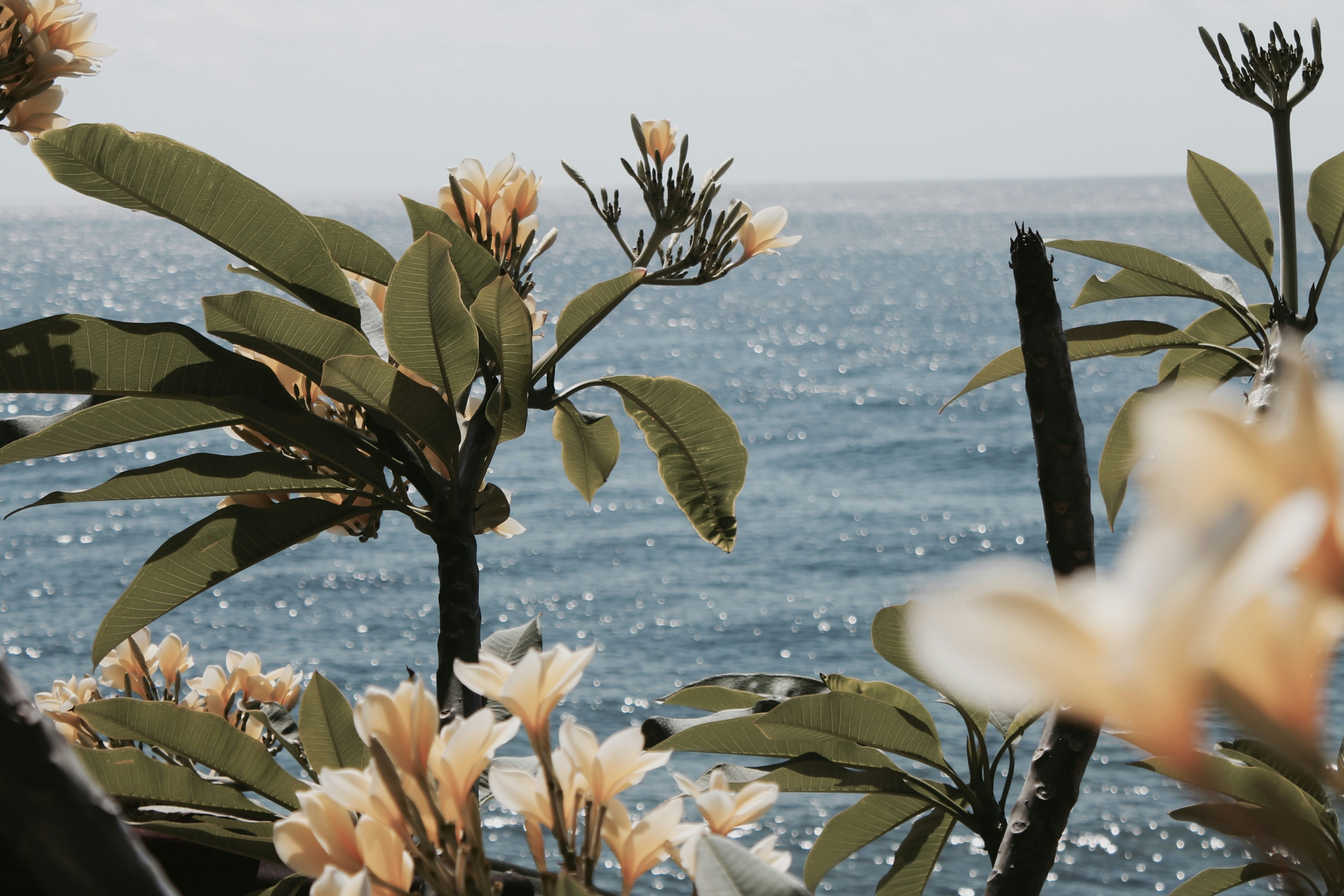 Photo by givanhieralal