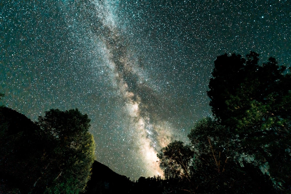 milky way at night