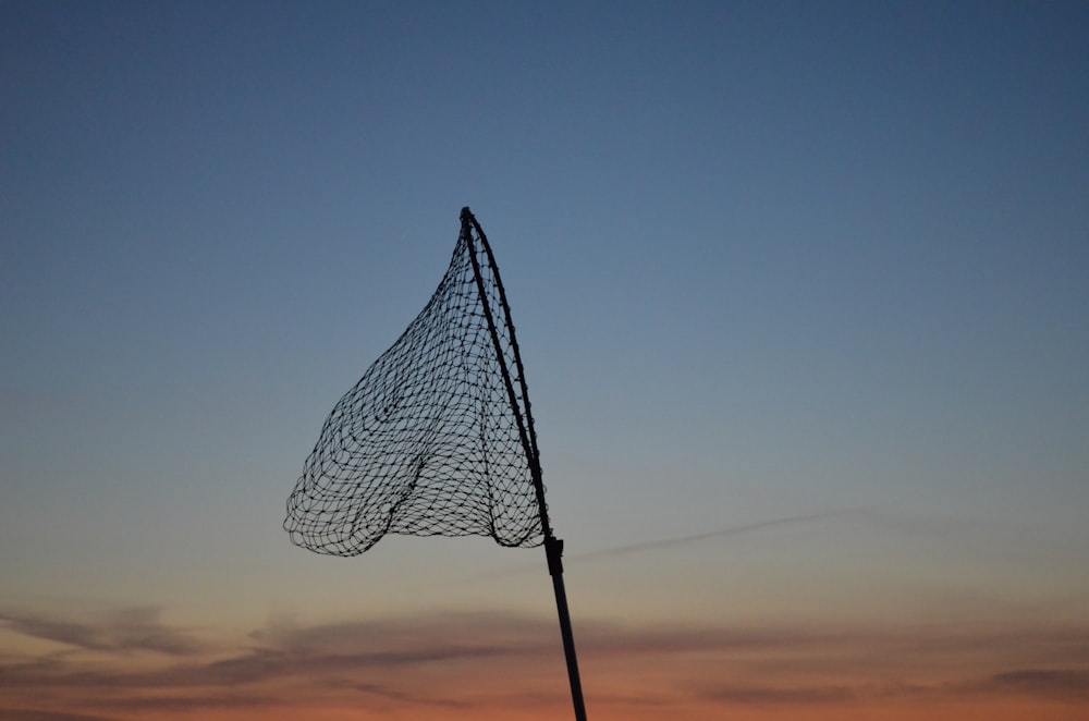 Fish Net Pictures  Download Free Images on Unsplash