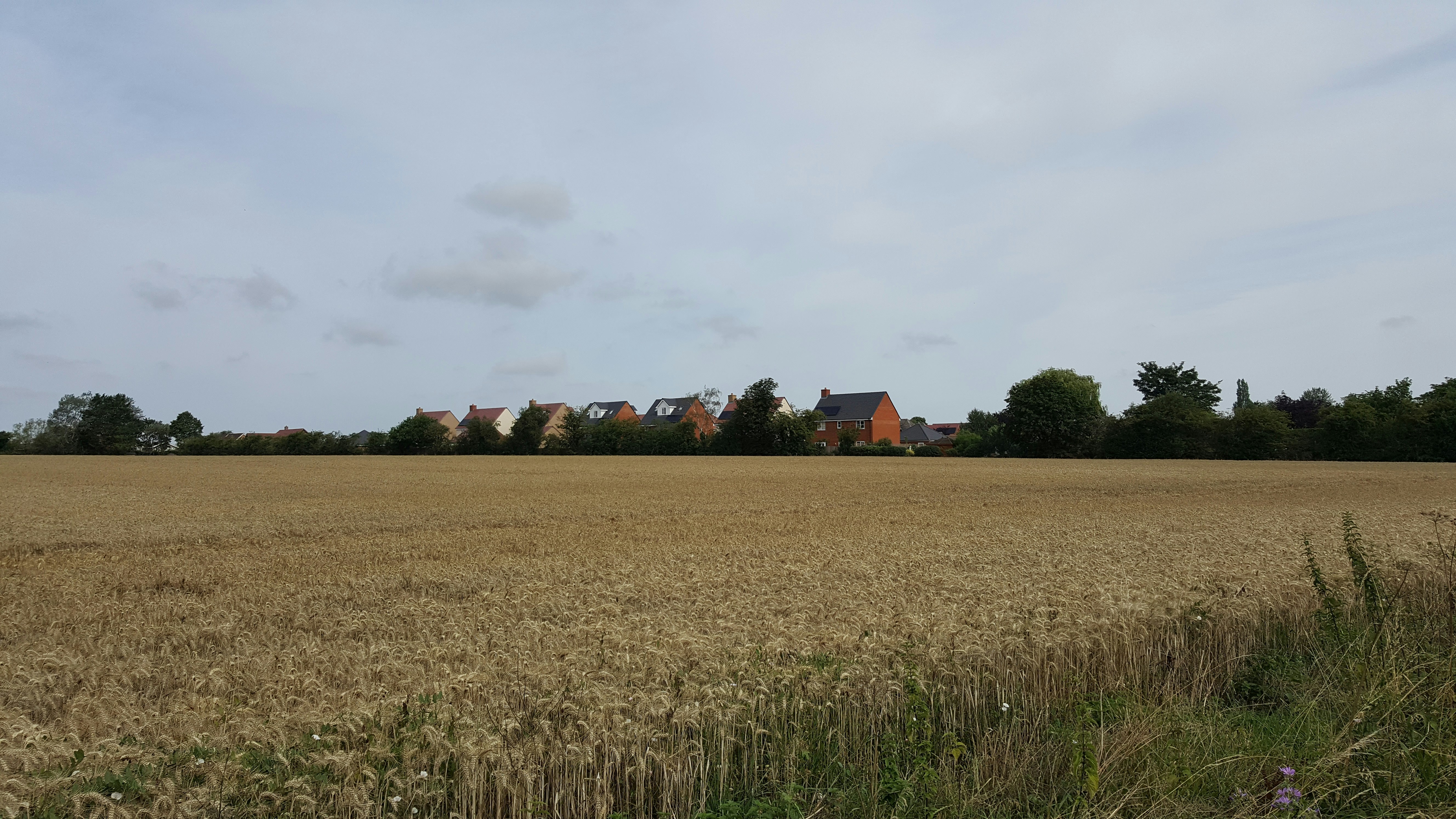 De Landtsheer