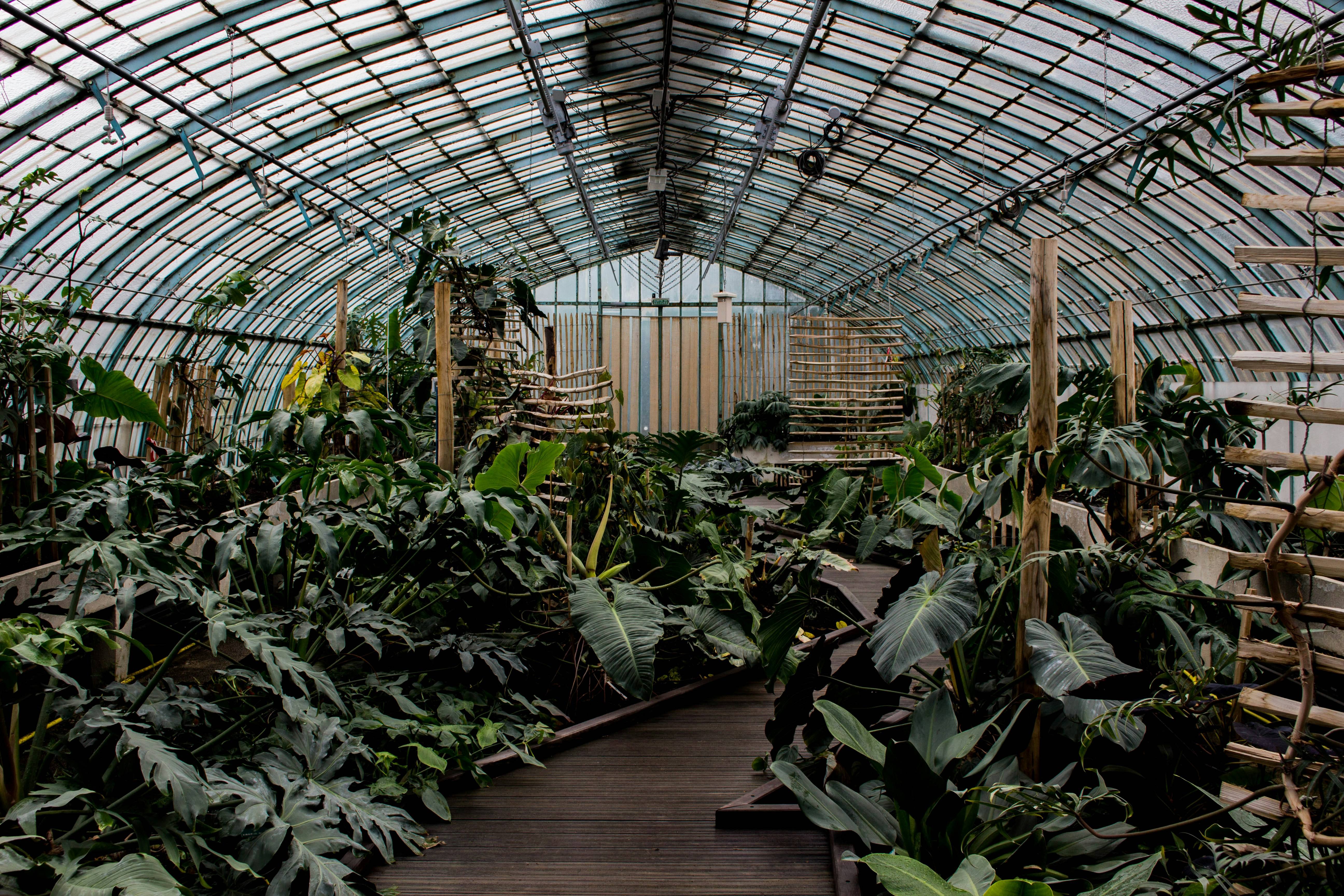 Jardins et Serres d’Auteuil Greenhouse in Paris