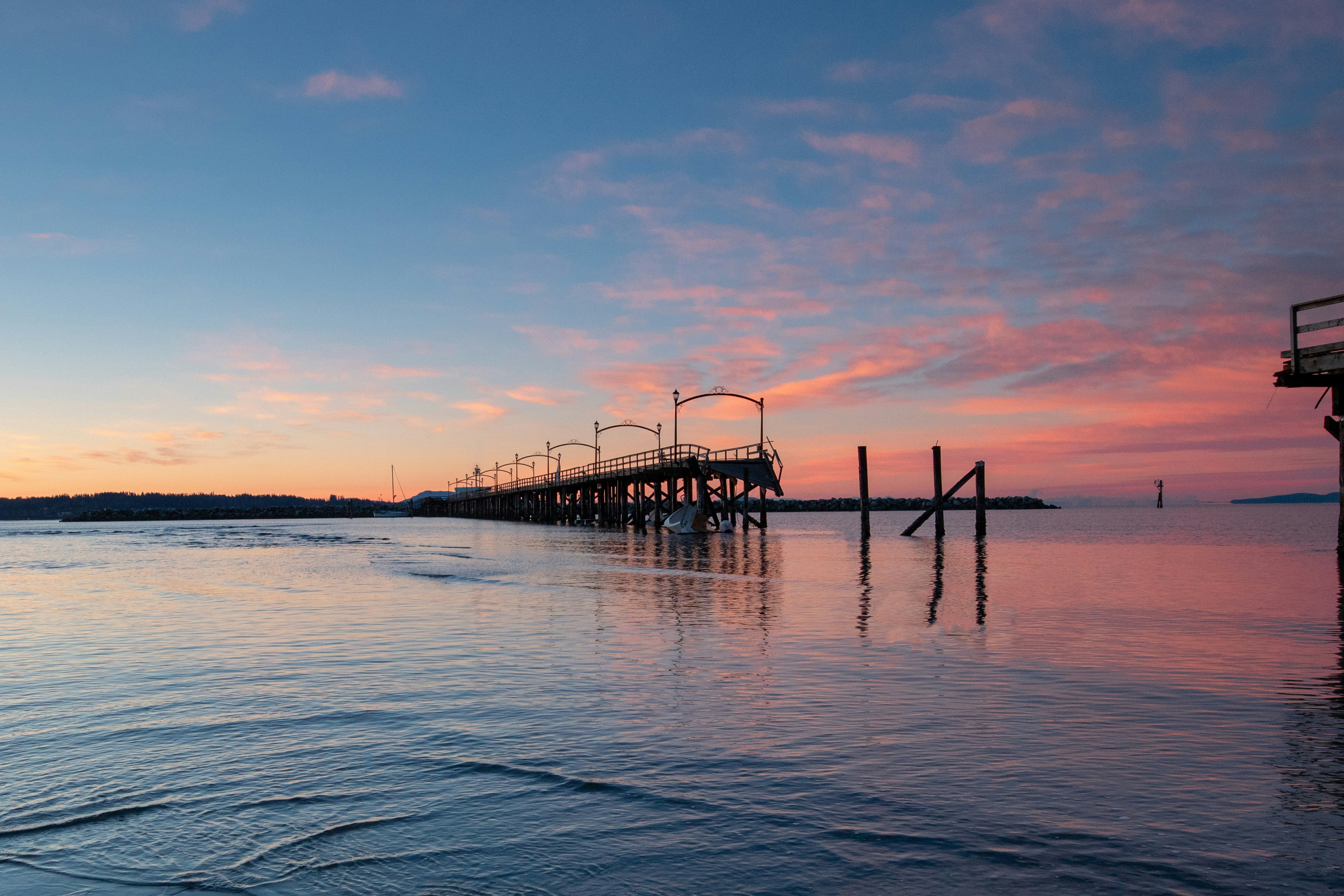 brown wooden boardwalk