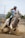 woman riding horse