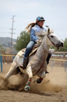 HorseCalendar.AI